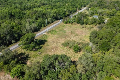 Land in Mount Dora, Florida № 1642750 - photo 24