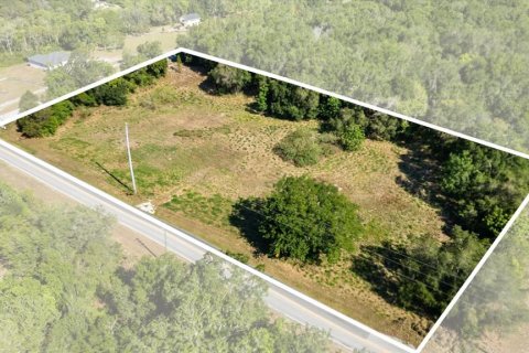 Land in Mount Dora, Florida № 1642750 - photo 10