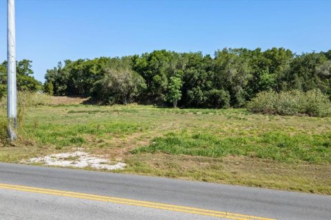 Land in Mount Dora, Florida № 1642750 - photo 9