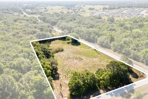 Land in Mount Dora, Florida № 1642750 - photo 16
