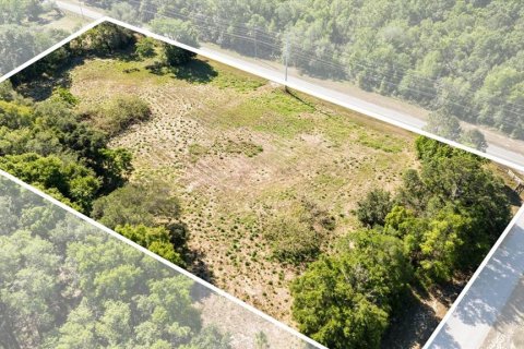Land in Mount Dora, Florida № 1642750 - photo 4