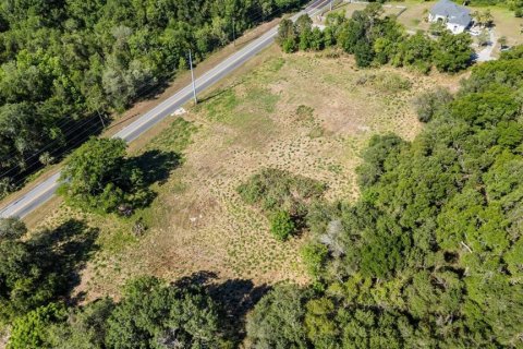 Land in Mount Dora, Florida № 1642750 - photo 25