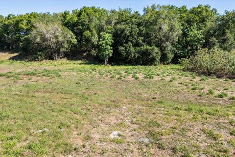 Land in Mount Dora, Florida № 1642750 - photo 30