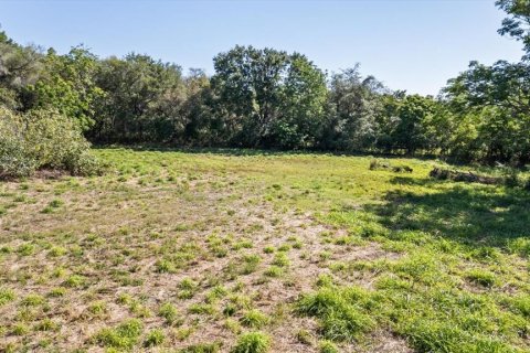 Land in Mount Dora, Florida № 1642750 - photo 7