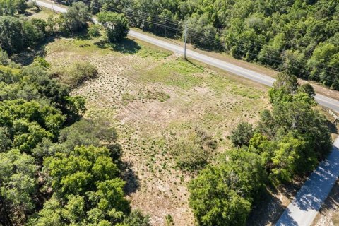 Land in Mount Dora, Florida № 1642750 - photo 20