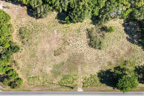Land in Mount Dora, Florida № 1642750 - photo 18