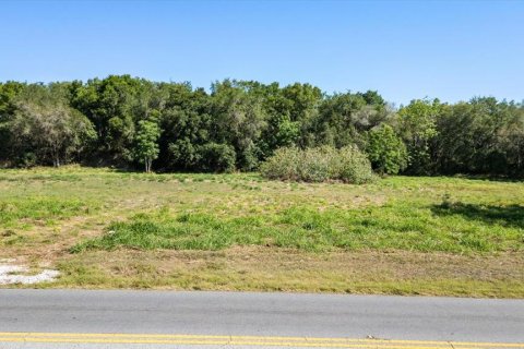 Land in Mount Dora, Florida № 1642750 - photo 8