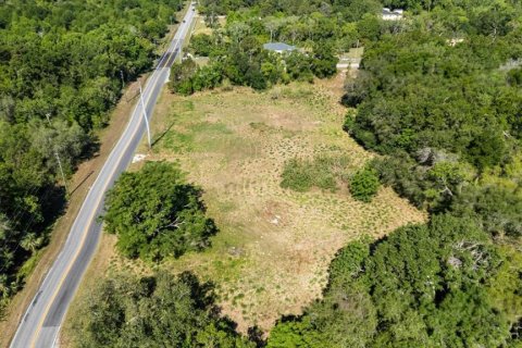 Land in Mount Dora, Florida № 1642750 - photo 23
