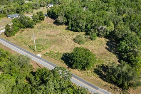 Land in Mount Dora, Florida № 1642750 - photo 22