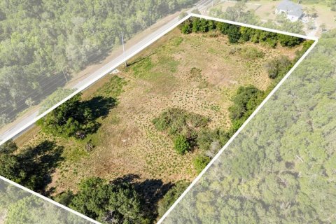 Land in Mount Dora, Florida № 1642750 - photo 13