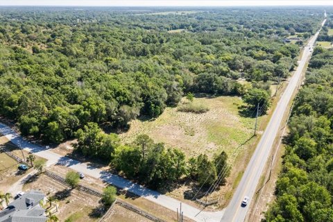 Land in Mount Dora, Florida № 1642750 - photo 21