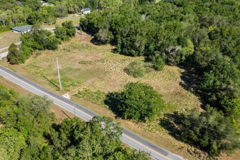 Land in Mount Dora, Florida № 1642750 - photo 17
