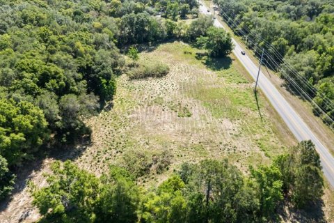 Land in Mount Dora, Florida № 1642750 - photo 27
