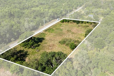 Land in Mount Dora, Florida № 1642750 - photo 12