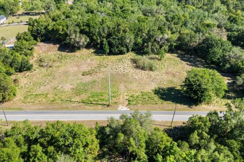 Land in Mount Dora, Florida № 1642750 - photo 6