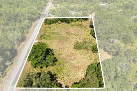 Land in Mount Dora, Florida № 1642750 - photo 11