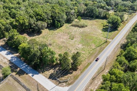 Land in Mount Dora, Florida № 1642750 - photo 19