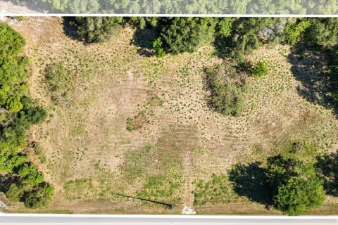 Land in Mount Dora, Florida № 1642750 - photo 2