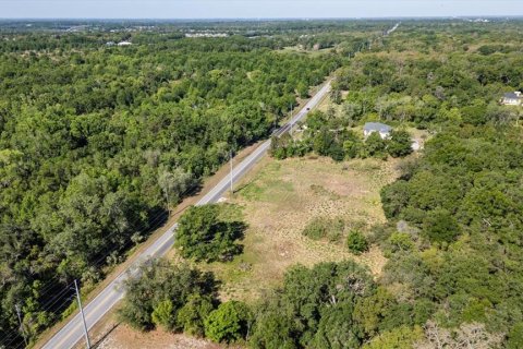 Land in Mount Dora, Florida № 1642750 - photo 26