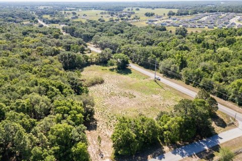 Land in Mount Dora, Florida № 1642750 - photo 29