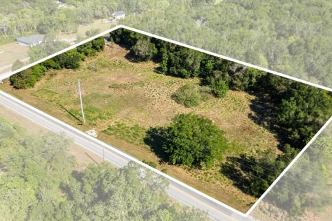Land in Mount Dora, Florida № 1642750 - photo 1