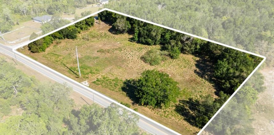 Land in Mount Dora, Florida № 1642750