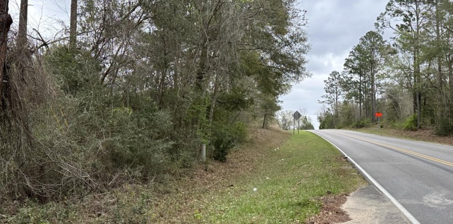 Land in Bonifay, Florida № 560003