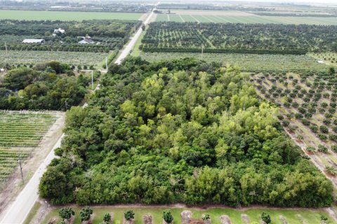 Commercial property in Homestead, Florida № 1691862 - photo 8