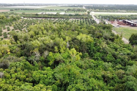 Commercial property in Homestead, Florida № 1691862 - photo 6