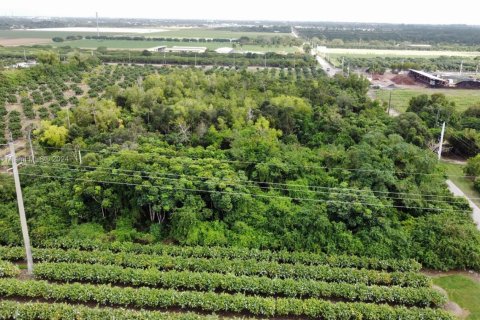Commercial property in Homestead, Florida № 1691862 - photo 7