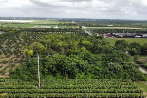 Commercial property in Homestead, Florida № 1691862 - photo 14