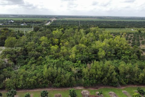 Commercial property in Homestead, Florida № 1691862 - photo 13