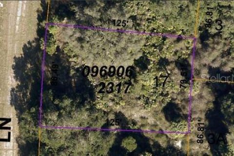 Купить земельный участок в Норт-Порт, Флорида № 2211223 - фото 4