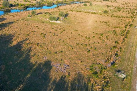 Land in Lake Placid, Florida № 1643103 - photo 11