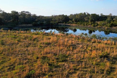 Land in Lake Placid, Florida № 1643103 - photo 15