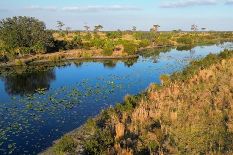 Land in Lake Placid, Florida № 1643103 - photo 4