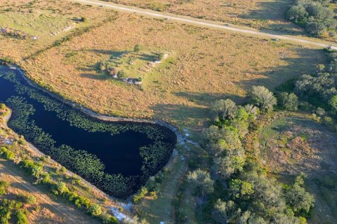 Land in Lake Placid, Florida № 1643103 - photo 8