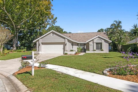 Villa ou maison à Palm Harbor, Floride 3 chambres, 151.06 m2 № 2419646