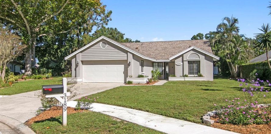 Villa ou maison à Palm Harbor, Floride 3 chambres, 151.06 m2 № 2419646