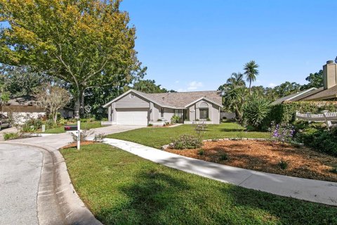 Villa ou maison à vendre à Palm Harbor, Floride: 3 chambres, 151.06 m2 № 2419646 - photo 25