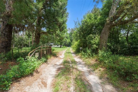 Villa ou maison à vendre à Spring Hill, Floride: 5 chambres, 231.51 m2 № 1899023 - photo 12