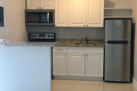 Villa ou maison à louer à Miami, Floride: 1 chambre № 1966420 - photo 3