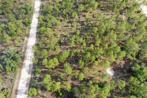 Terrain à vendre à Williston, Floride № 2208916 - photo 4