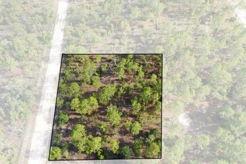 Terreno en Williston, Florida № 2208916