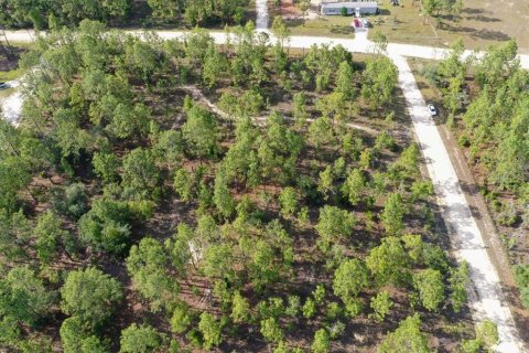 Terrain à vendre à Williston, Floride № 2208916 - photo 8