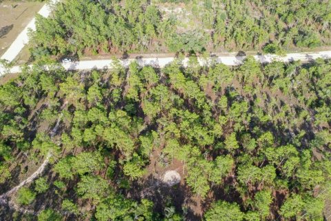Terrain à vendre à Williston, Floride № 2208916 - photo 6