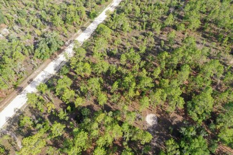 Terrain à vendre à Williston, Floride № 2208916 - photo 5