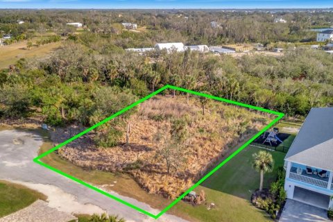 Terreno en venta en Terra Ceia, Florida № 1717054 - foto 5