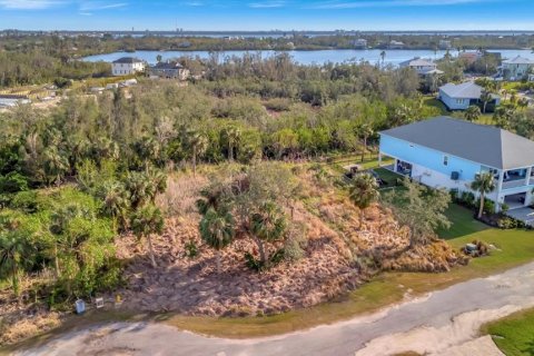 Terreno en venta en Terra Ceia, Florida № 1717054 - foto 6