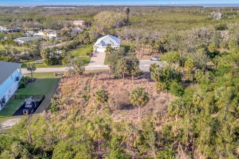 Terreno en venta en Terra Ceia, Florida № 1717054 - foto 9